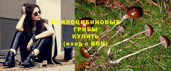 мяу мяу мука Семилуки