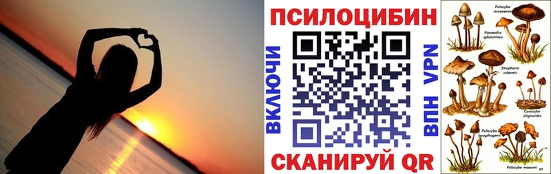 Купить  Златоуст  Псилоцибиновые грибы MAGIC MUSHROOMS 